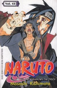 Image of Naruto vol. 43 : the man who knows the truth